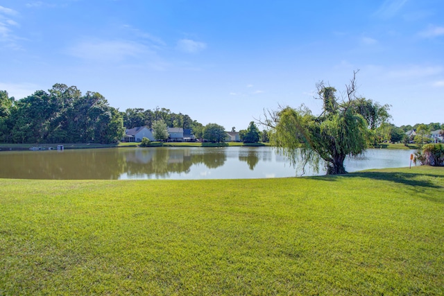 486 Maple Oak Ln, Charleston, SC 29414 - water view