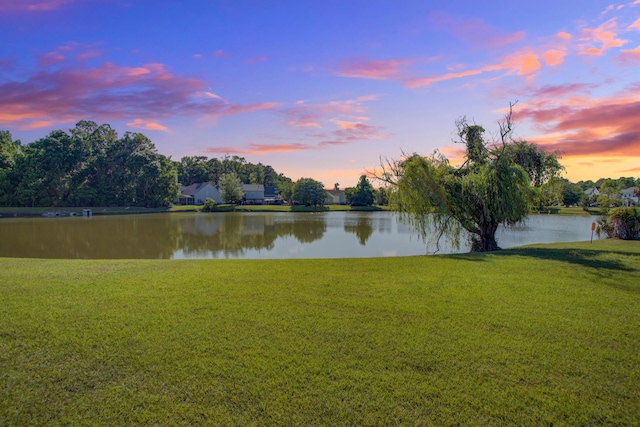 486 Maple Oak Ln, Charleston, SC 29414 - water view