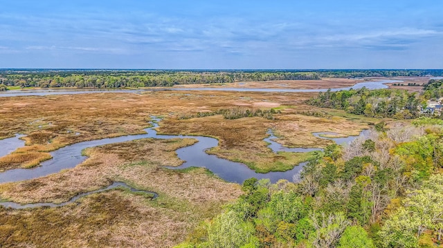 drone / aerial view with a water view and a wooded view