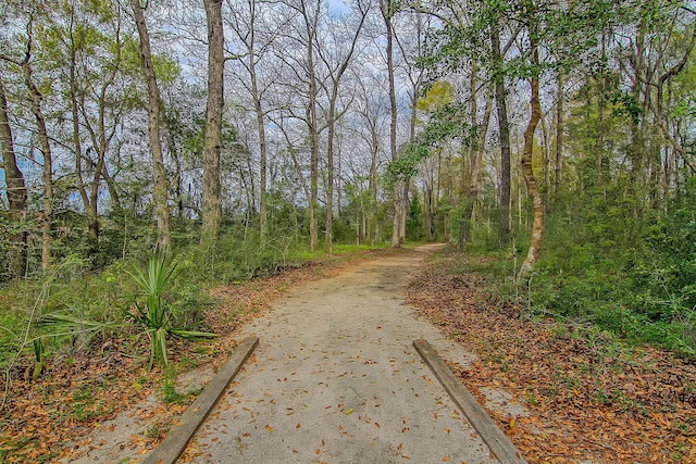 view of street featuring a wooded view