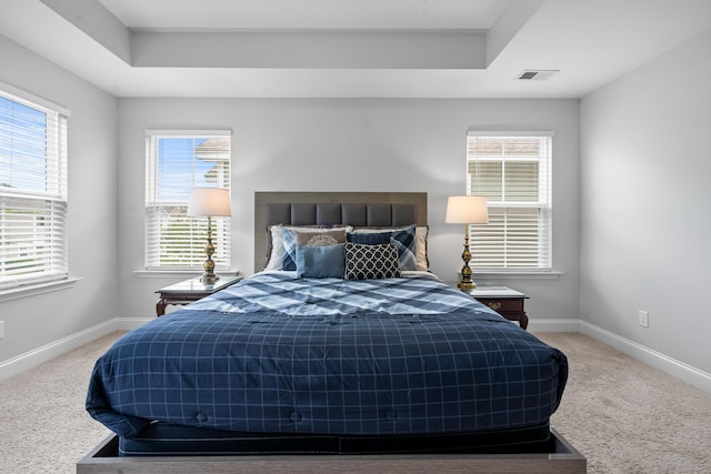 carpeted bedroom featuring a raised ceiling