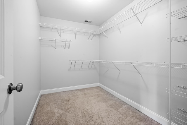 walk in closet featuring carpet floors