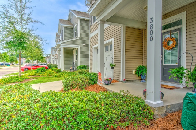 view of exterior entry featuring covered porch