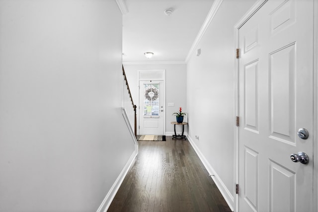 corridor with crown molding and dark wood-type flooring