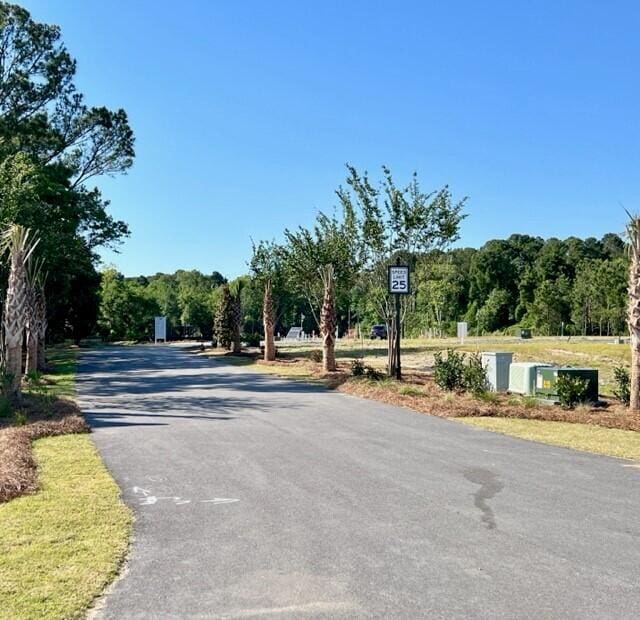 1056 Capersview Ct, Awendaw, SC 29429 - view of asphalt street