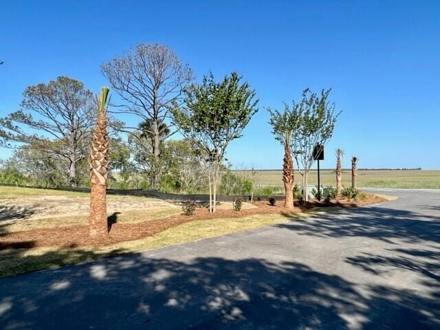 1056 Capersview Ct, Awendaw, SC 29429 - view of asphalt street