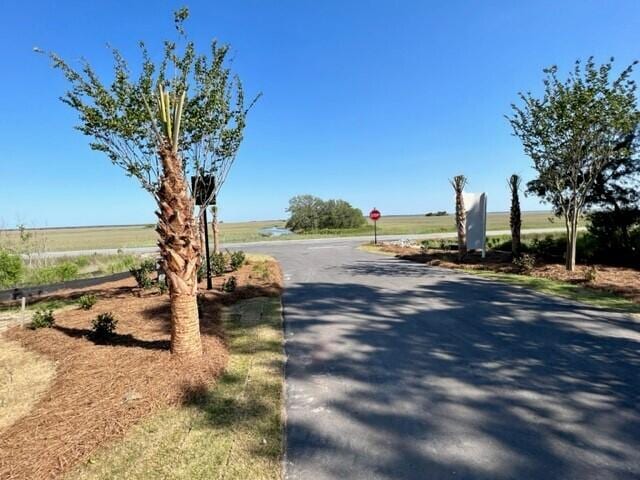1056 Capersview Ct, Awendaw, SC 29429 - view of asphalt road with traffic signs