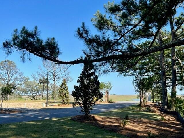 1056 Capersview Ct, Awendaw, SC 29429 - view of property's community