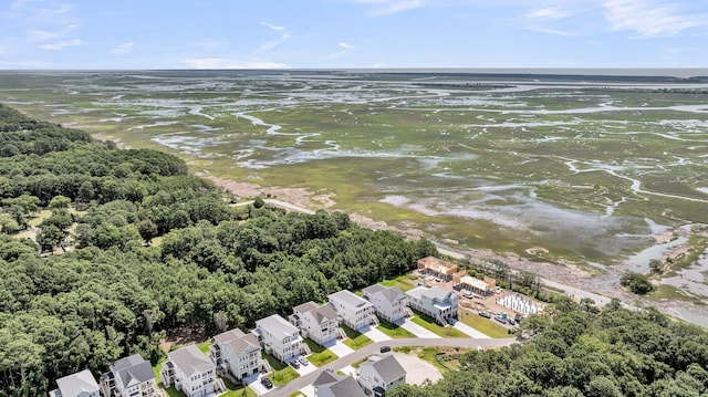 1056 Capersview Ct, Awendaw, SC 29429 - aerial perspective of suburban area featuring a large body of water