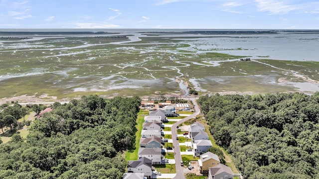 1056 Capersview Ct, Awendaw, SC 29429 - aerial perspective of suburban area with a nearby body of water