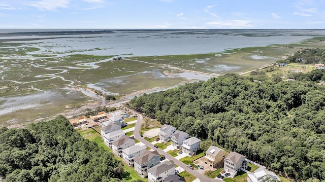 1056 Capersview Ct, Awendaw, SC 29429 - view of property location with a nearby body of water