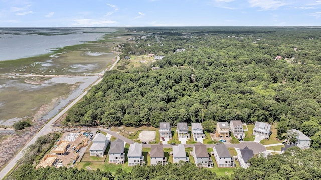 1056 Capersview Ct, Awendaw, SC 29429 - aerial view of property and surrounding area with expansive coastline and a heavily wooded area