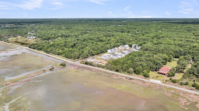 1056 Capersview Ct, Awendaw, SC 29429 - aerial view of a heavily wooded area