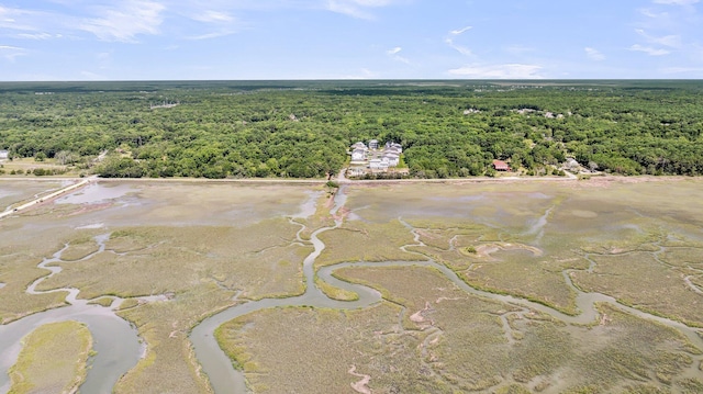 1056 Capersview Ct, Awendaw, SC 29429 - drone / aerial view of a forest