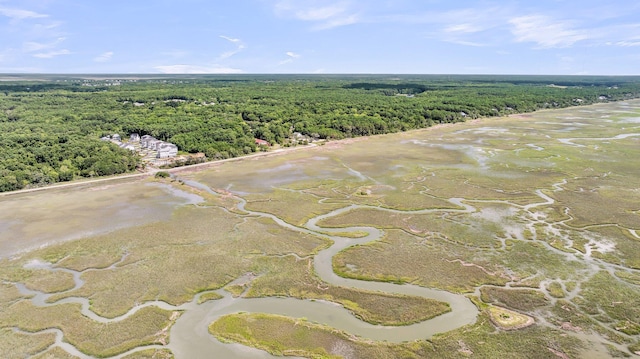 1056 Capersview Ct, Awendaw, SC 29429 - bird's eye view of a forest and a large body of water