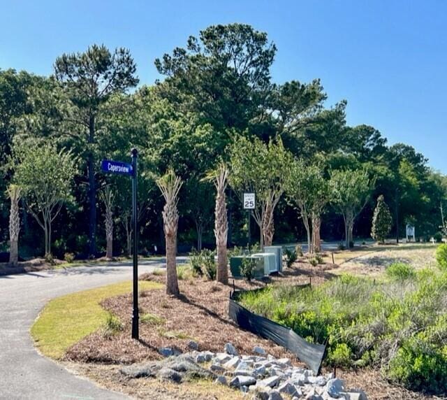1056 Capersview Ct, Awendaw, SC 29429 - view of community