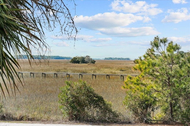 view of yard with a rural view