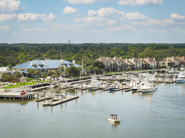 property view of water featuring a boat dock