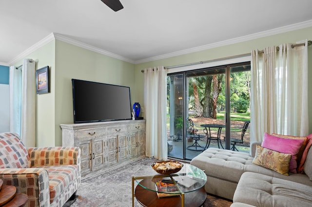 living room featuring ceiling fan and ornamental molding