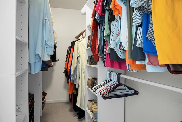 view of spacious closet