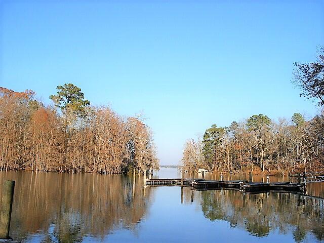 202 Trillium Ct, Santee, SC 29142 - water view featuring a boat dock