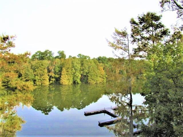 202 Trillium Ct, Santee, SC 29142 - water view with a floating dock and a forest