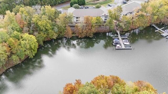 202 Trillium Ct, Santee, SC 29142 - drone / aerial view of a nearby body of water