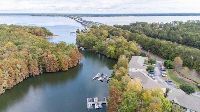 202 Trillium Ct, Santee, SC 29142 - drone / aerial view of a large body of water and a forest