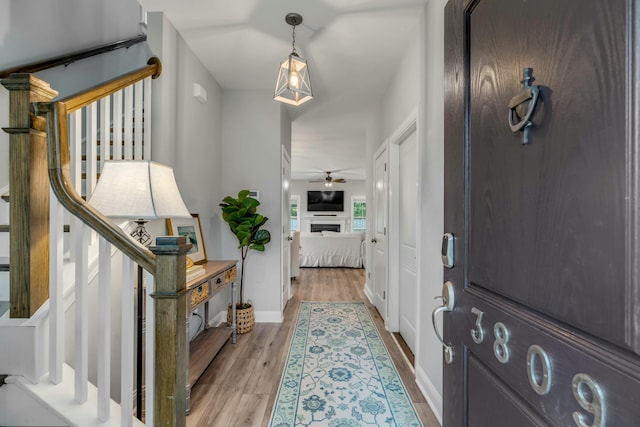 entryway featuring light hardwood / wood-style floors and ceiling fan