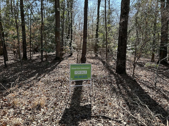 LOT88 Coach Rd, Cheraw SC, 29520 land for sale