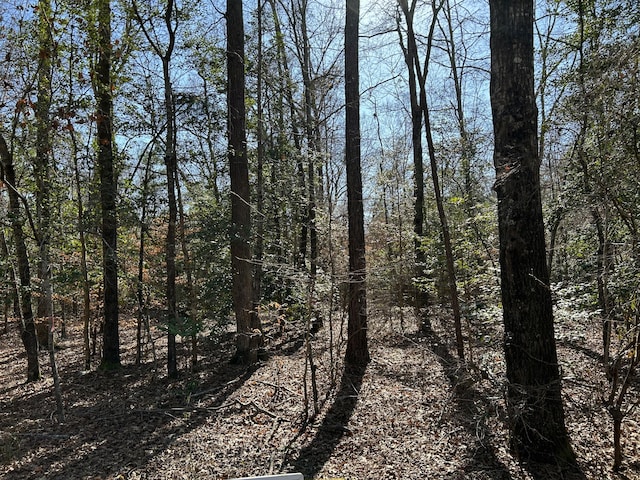 LOT88 Coach Rd, Cheraw, SC 29520