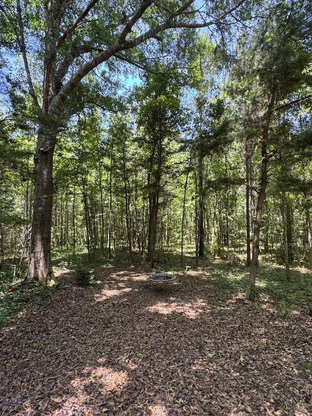200 Riva Ridge Ln, Round O, SC 29474