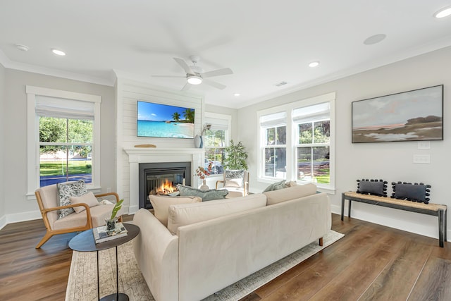 living room with a large fireplace, dark wood-type flooring, plenty of natural light, and crown molding