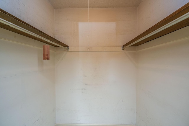 4328 Cheviot Dr, North Charleston, SC 29418 - view of walk in closet