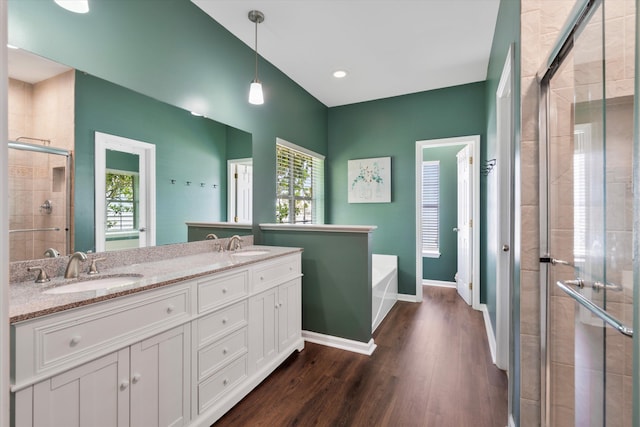 full bathroom with a healthy amount of sunlight, wood finished floors, a stall shower, and a sink