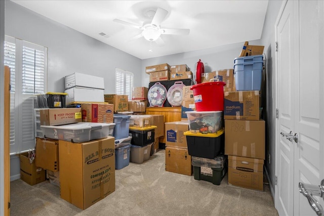 storage area with ceiling fan