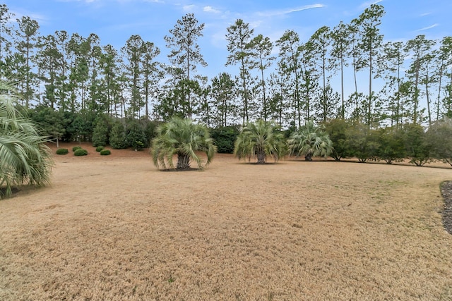 view of local wilderness