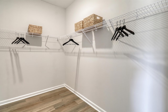 TBD Oleary Cir, Summerville, SC 29483 - walk in closet with wood finished floors
