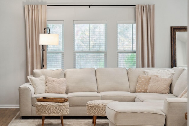 living room featuring hardwood / wood-style floors