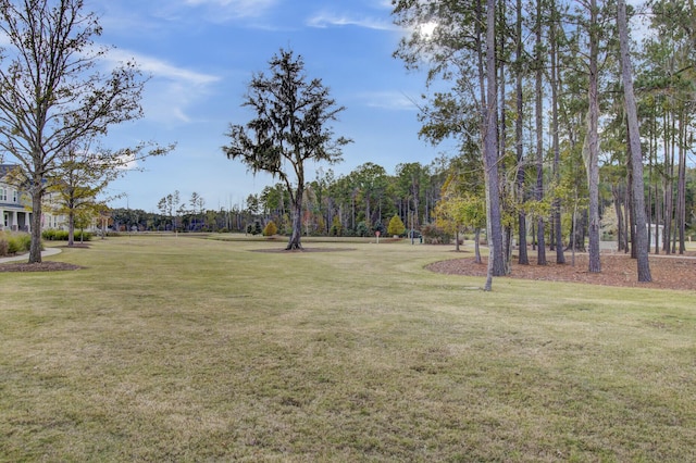 view of home's community featuring a yard