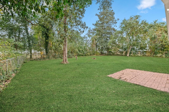 view of yard featuring a patio