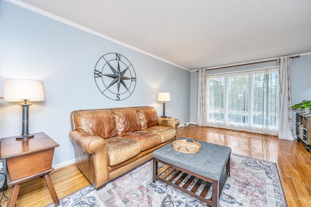 living room featuring light hardwood / wood-style floors and ornamental molding