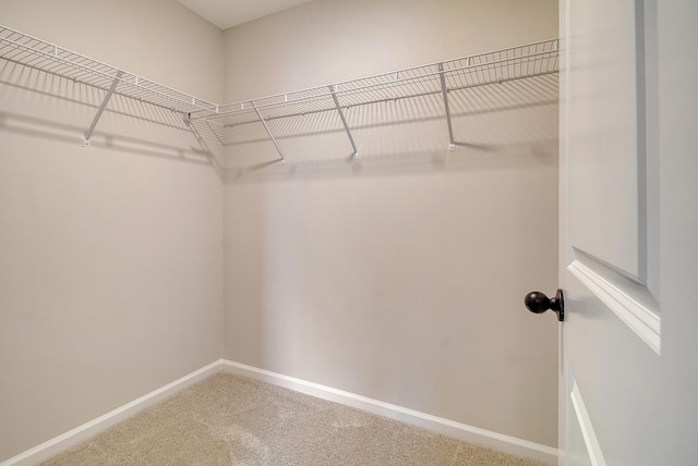 299 Lucca Dr, Summerville, SC 29486 - walk in closet featuring carpet floors