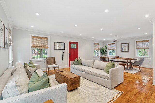 293 Grove St, Charleston, SC 29403 - living area featuring light wood-style floors, recessed lighting, plenty of natural light, baseboards, and ornamental molding