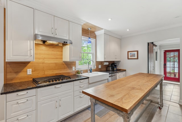 293 Grove St, Charleston, SC 29403 - kitchen with appliances with stainless steel finishes, under cabinet range hood, a sink, backsplash, and crown molding