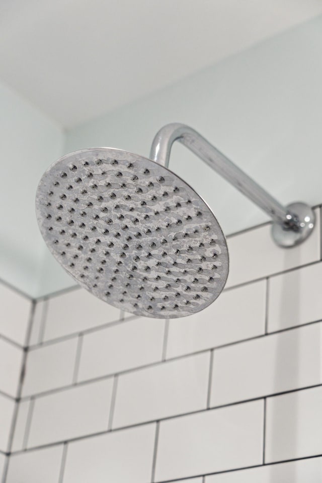 293 Grove St, Charleston, SC 29403 - bathroom view