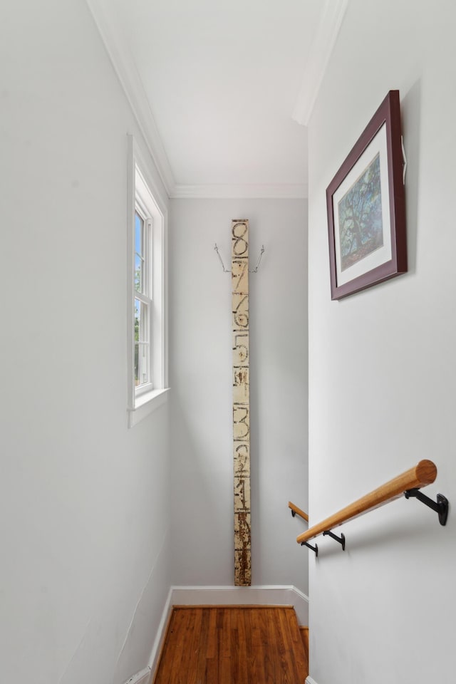 293 Grove St, Charleston, SC 29403 - stairs with ornamental molding, wood finished floors, and baseboards