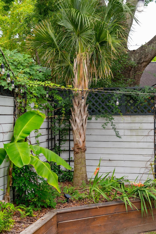 293 Grove St, Charleston, SC 29403 - exterior view