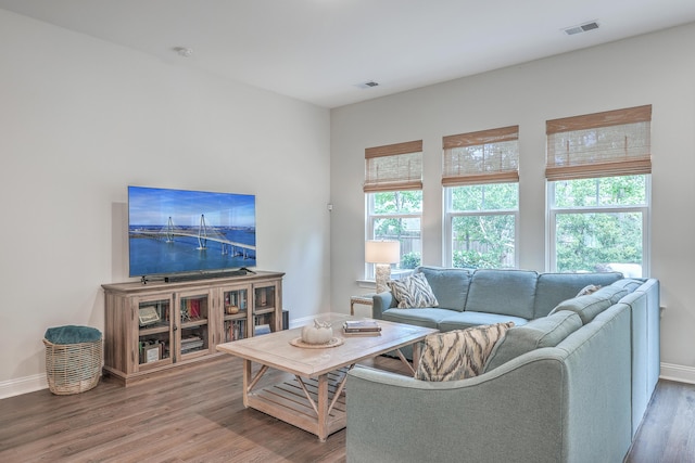 living room with plenty of natural light and hardwood / wood-style floors