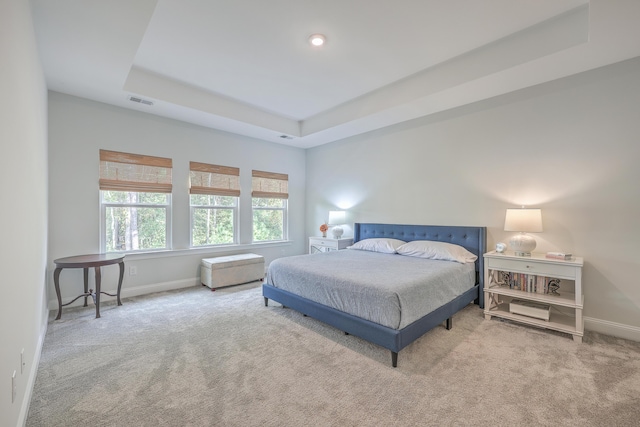 bedroom featuring a raised ceiling and carpet flooring